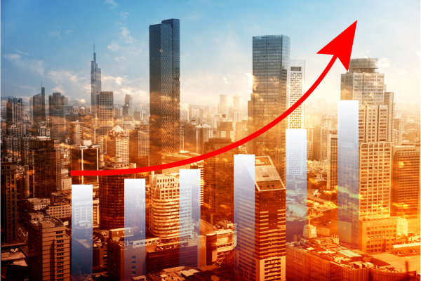 Business leader achieving clarity with systems for predictable growth.