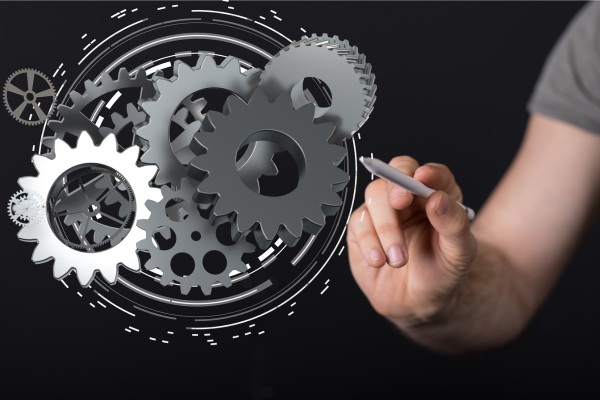 Business systems consultant guiding company toward sustainable growth